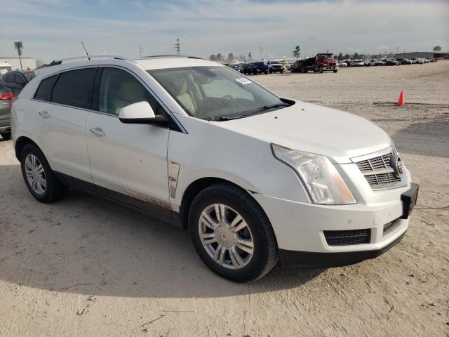 Photo 3 VIN: 3GYFNDEY0AS556783 - CADILLAC SRX LUXURY 