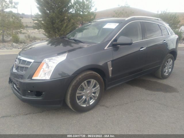 Photo 1 VIN: 3GYFNDEY0AS629585 - CADILLAC SRX 