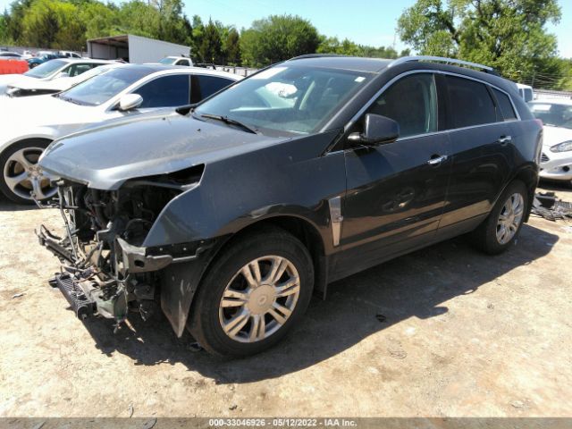 Photo 1 VIN: 3GYFNDEY0BS532775 - CADILLAC SRX 