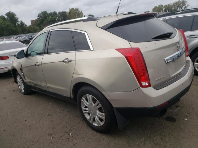 Photo 1 VIN: 3GYFNDEY0BS540438 - CADILLAC SRX LUXURY 