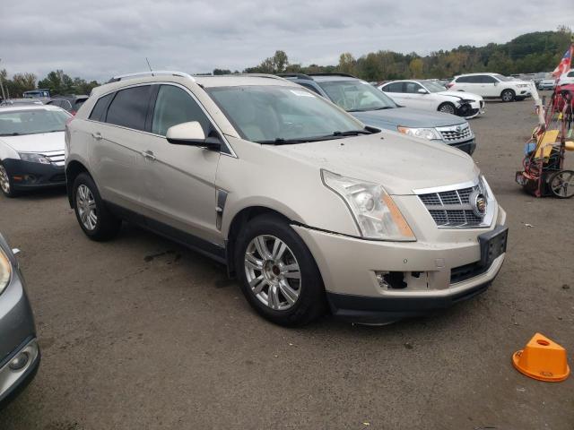 Photo 3 VIN: 3GYFNDEY0BS540438 - CADILLAC SRX LUXURY 