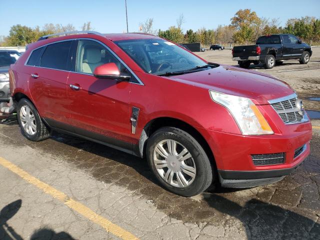 Photo 3 VIN: 3GYFNDEY0BS558387 - CADILLAC SRX LUXURY 