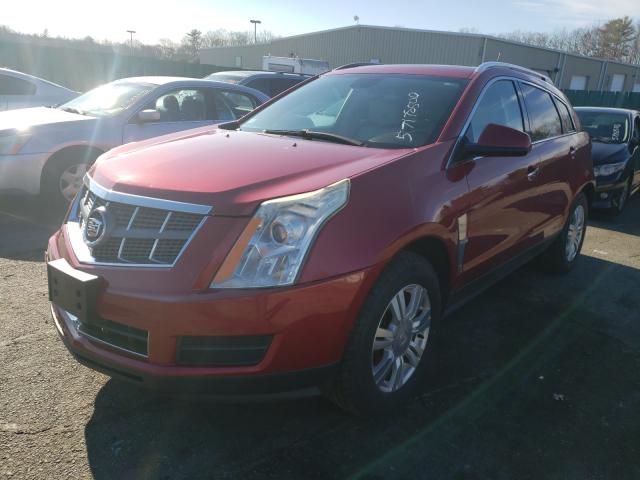 Photo 1 VIN: 3GYFNDEY0BS636988 - CADILLAC SRX LUXURY 