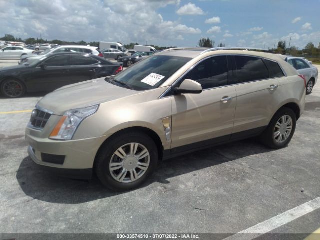 Photo 1 VIN: 3GYFNDEY1AS576539 - CADILLAC SRX 