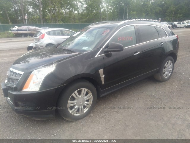 Photo 1 VIN: 3GYFNDEY1AS599416 - CADILLAC SRX 