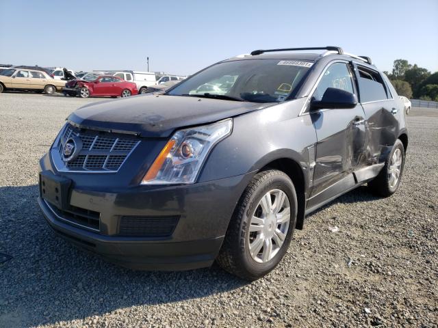 Photo 1 VIN: 3GYFNDEY1AS629806 - CADILLAC SRX LUXURY 