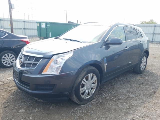 Photo 1 VIN: 3GYFNDEY1AS650817 - CADILLAC SRX LUXURY 