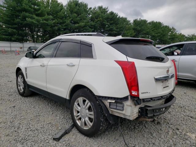 Photo 1 VIN: 3GYFNDEY1BS509814 - CADILLAC SRX LUXURY 