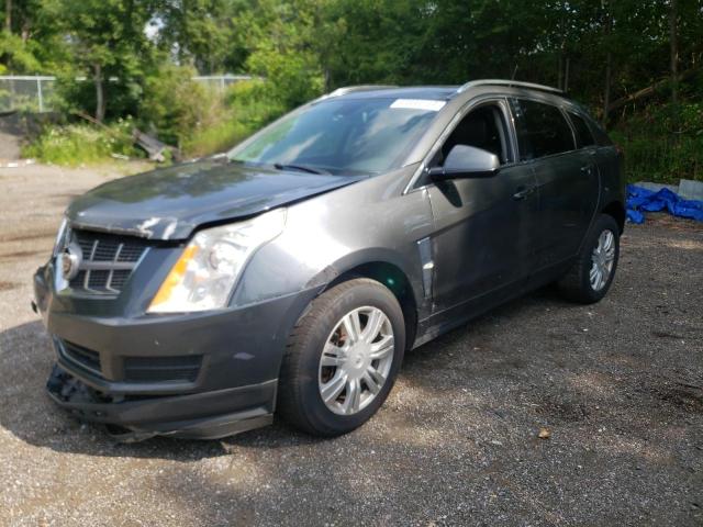 Photo 0 VIN: 3GYFNDEY1BS563355 - CADILLAC SRX LUXURY 