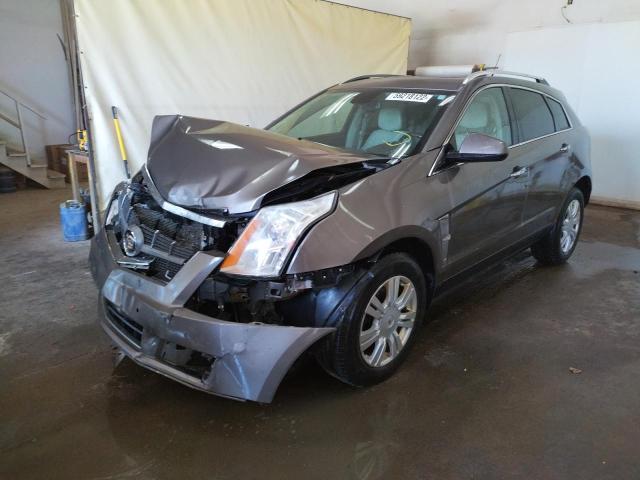 Photo 1 VIN: 3GYFNDEY1BS637695 - CADILLAC SRX 