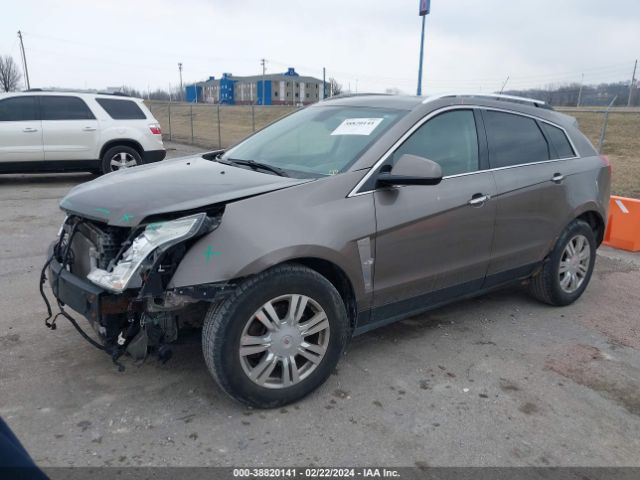 Photo 1 VIN: 3GYFNDEY1BS637695 - CADILLAC SRX 