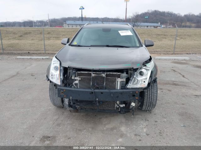 Photo 5 VIN: 3GYFNDEY1BS637695 - CADILLAC SRX 