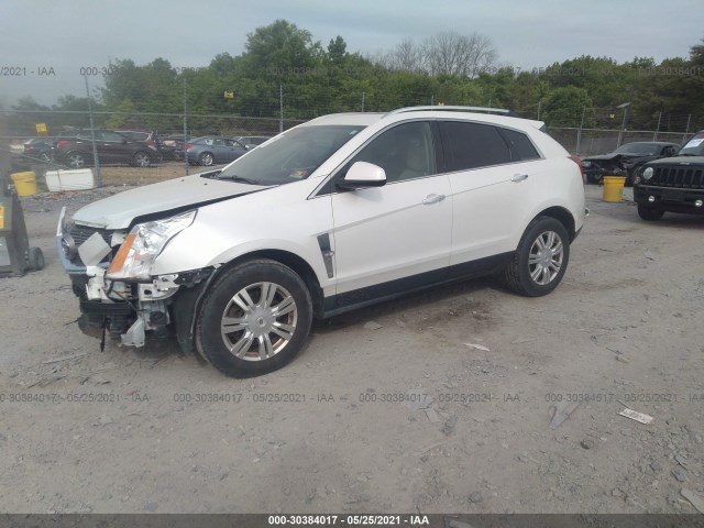 Photo 1 VIN: 3GYFNDEY2AS550516 - CADILLAC SRX 