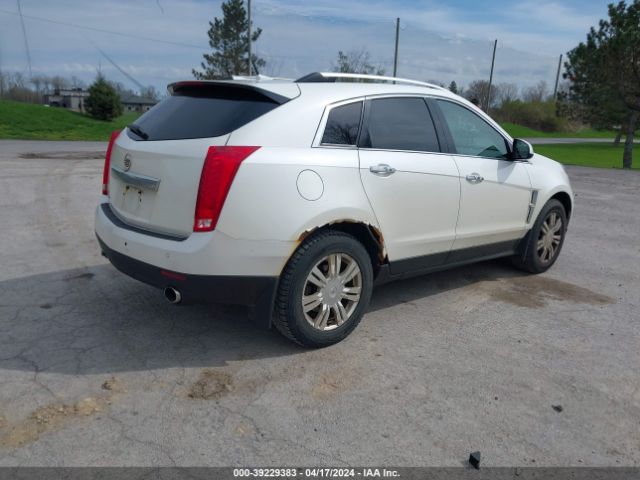 Photo 3 VIN: 3GYFNDEY2AS565548 - CADILLAC SRX 