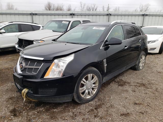 Photo 1 VIN: 3GYFNDEY2AS589414 - CADILLAC SRX LUXURY 