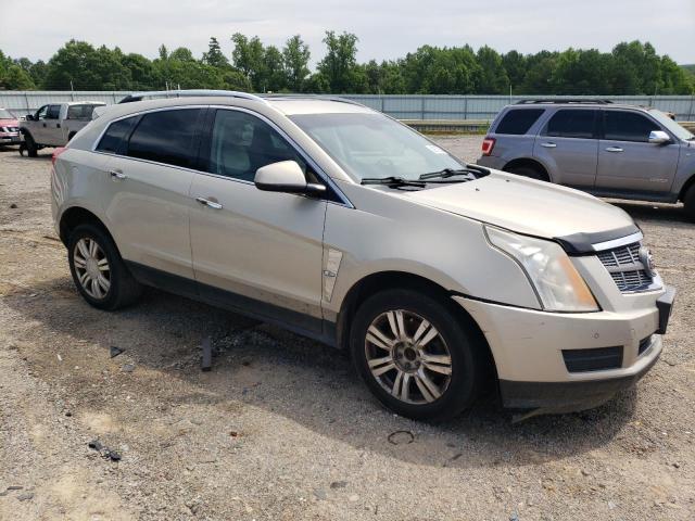 Photo 3 VIN: 3GYFNDEY2AS597724 - CADILLAC SRX LUXURY 