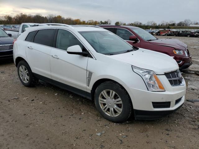 Photo 3 VIN: 3GYFNDEY2BS508817 - CADILLAC SRX 