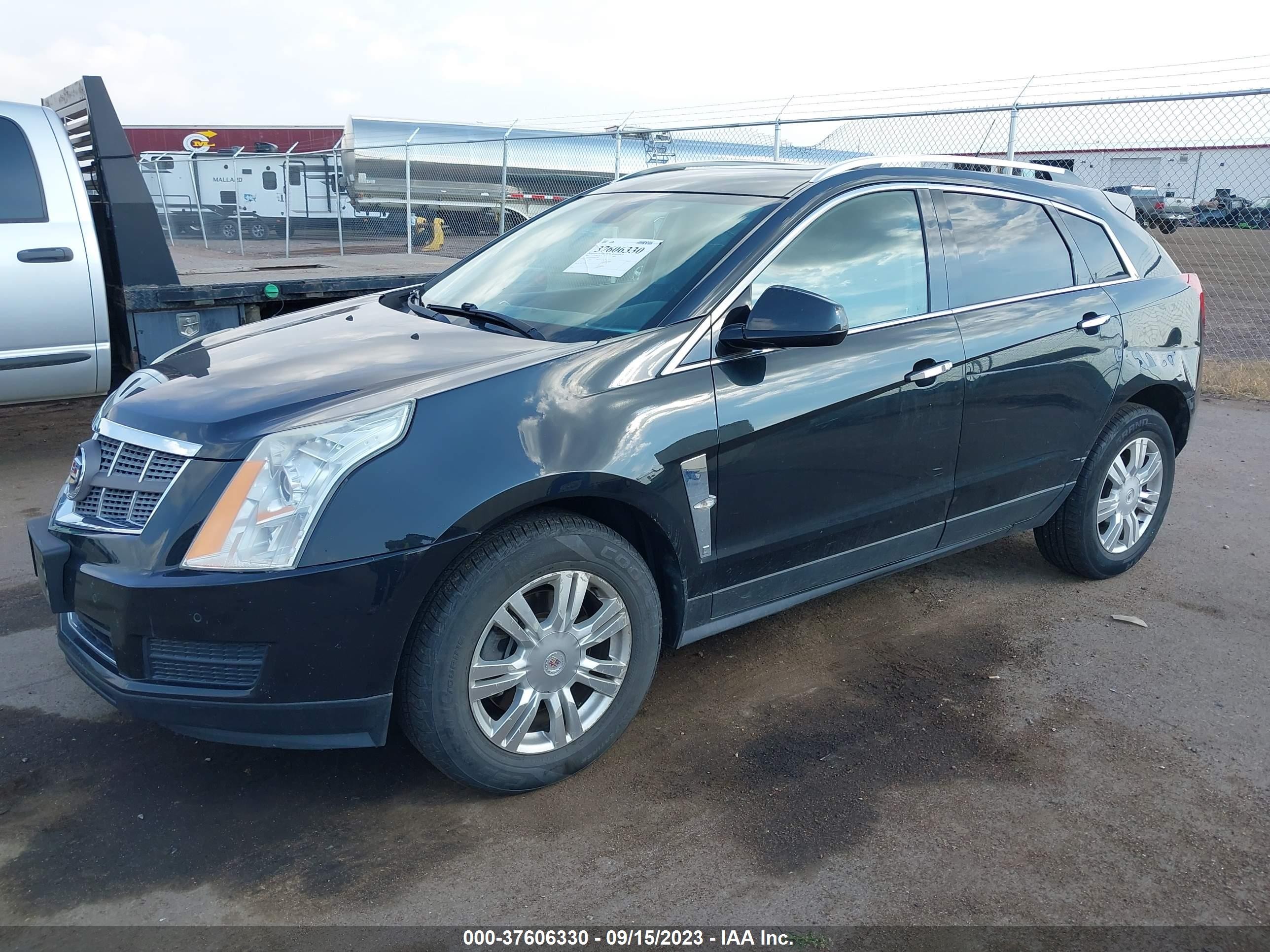 Photo 1 VIN: 3GYFNDEY2BS517047 - CADILLAC SRX 