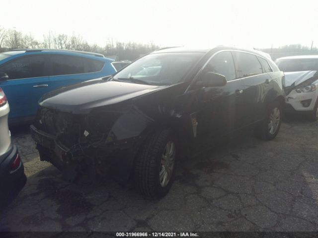 Photo 1 VIN: 3GYFNDEY2BS537010 - CADILLAC SRX 