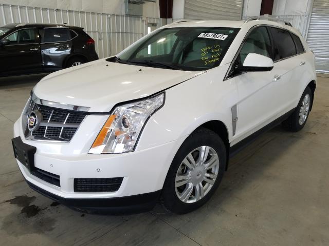 Photo 1 VIN: 3GYFNDEY2BS553997 - CADILLAC SRX LUXURY 