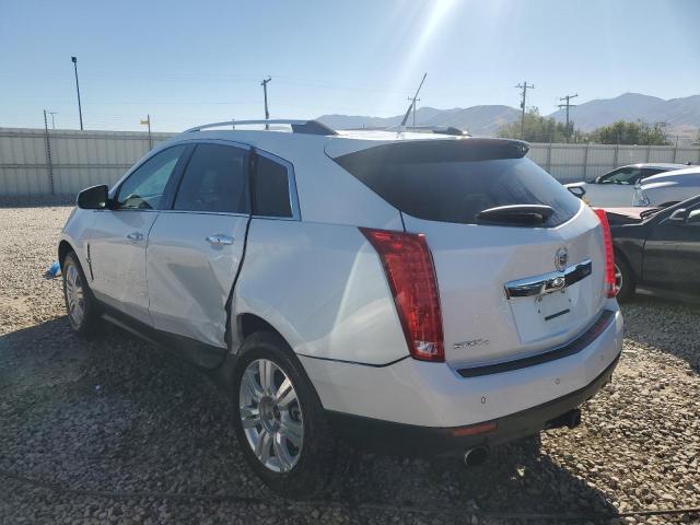 Photo 1 VIN: 3GYFNDEY2BS621845 - CADILLAC SRX LUXURY 