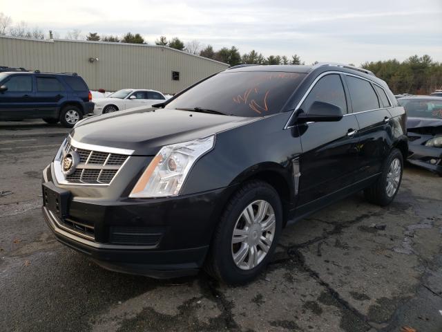 Photo 1 VIN: 3GYFNDEY2BS670978 - CADILLAC SRX 