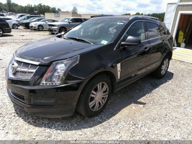 Photo 1 VIN: 3GYFNDEY3AS552081 - CADILLAC SRX 