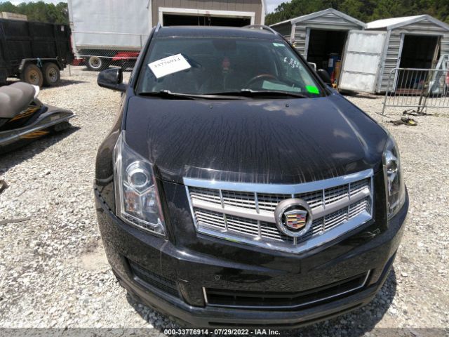 Photo 5 VIN: 3GYFNDEY3AS552081 - CADILLAC SRX 