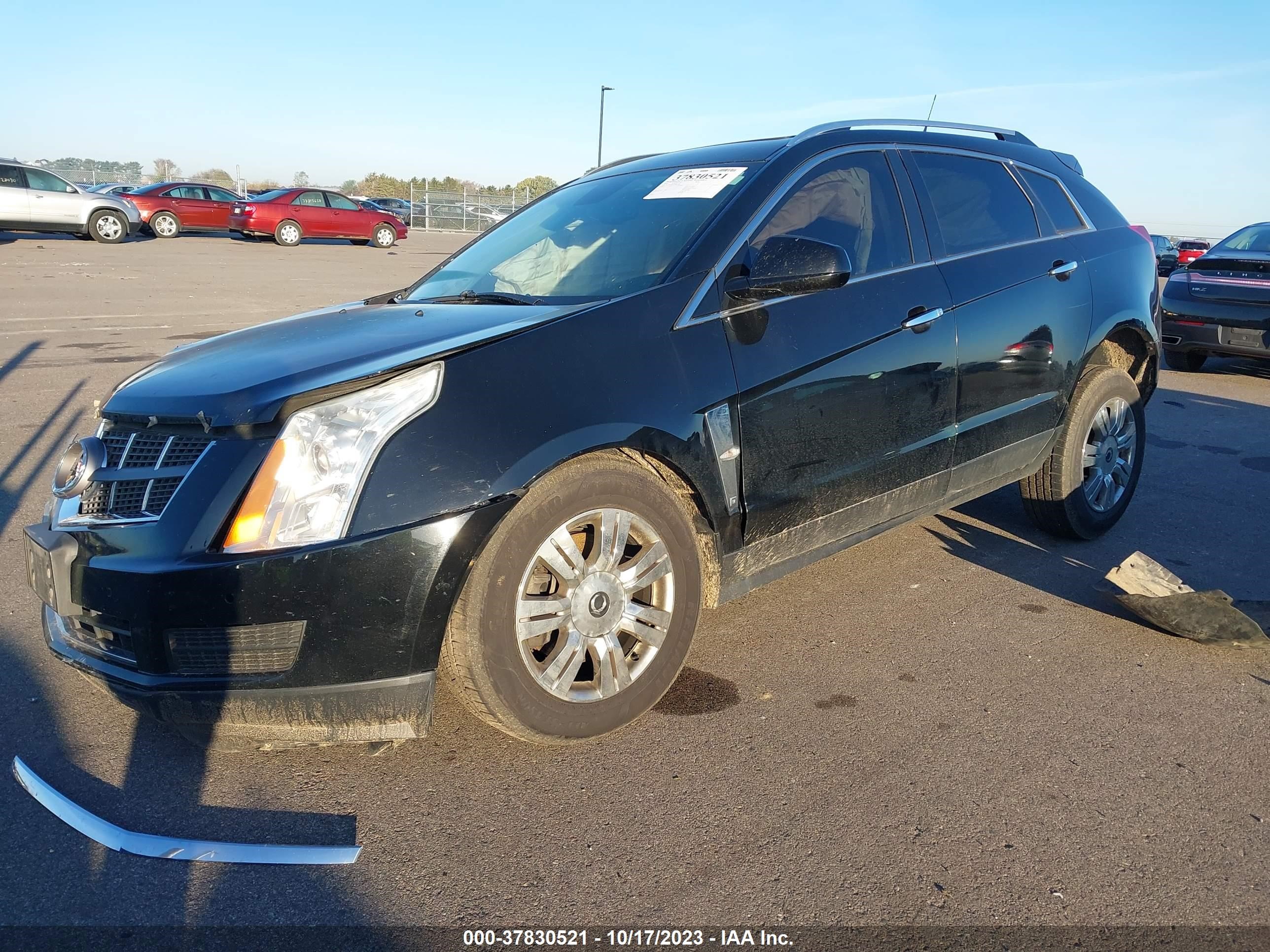 Photo 1 VIN: 3GYFNDEY3AS653783 - CADILLAC SRX 