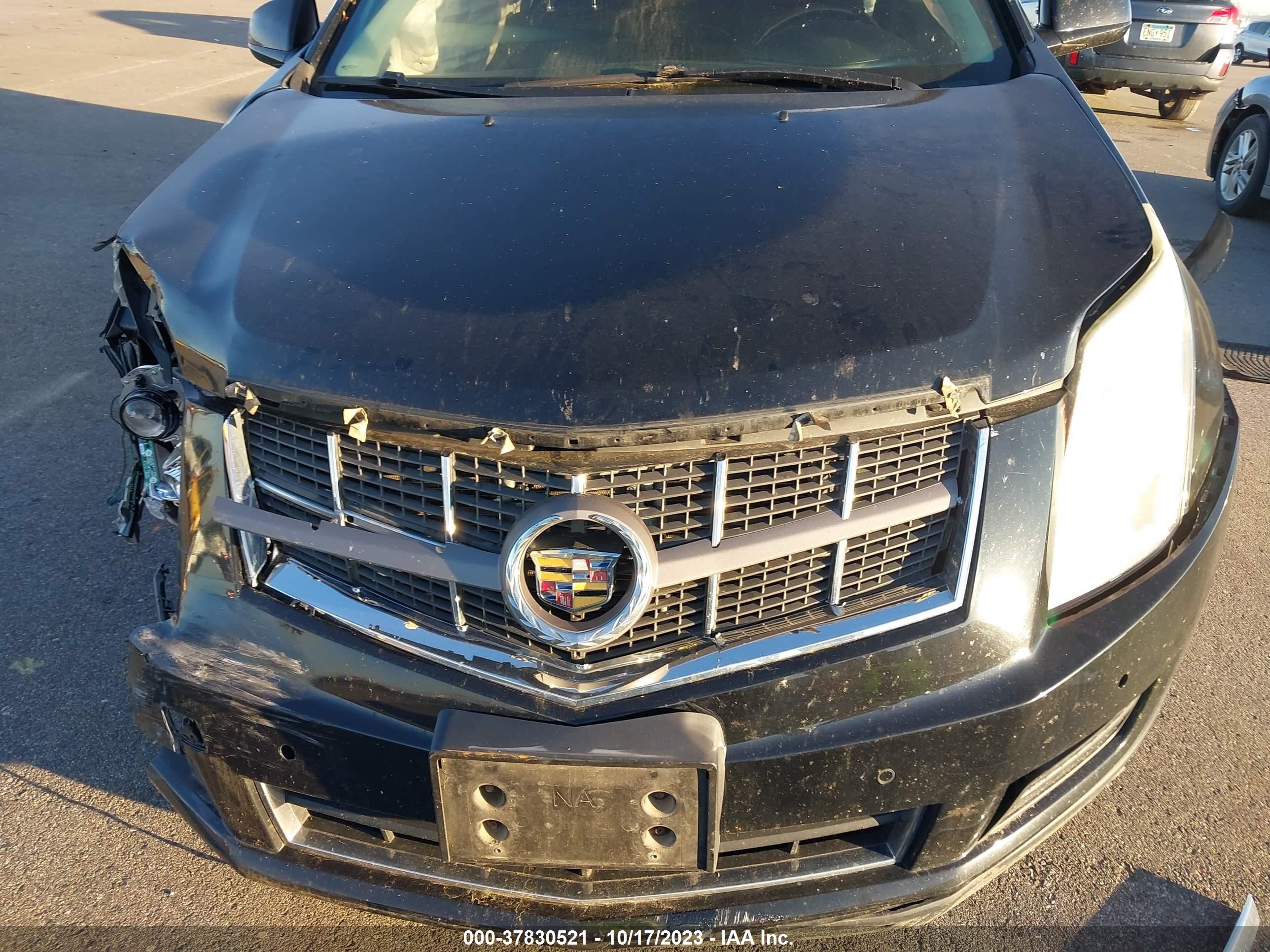 Photo 11 VIN: 3GYFNDEY3AS653783 - CADILLAC SRX 