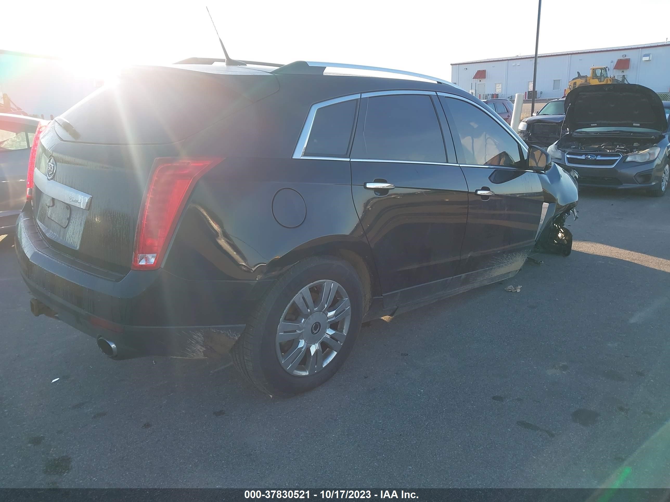 Photo 3 VIN: 3GYFNDEY3AS653783 - CADILLAC SRX 