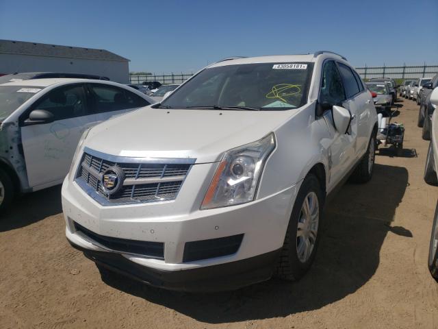 Photo 1 VIN: 3GYFNDEY3BS513931 - CADILLAC SRX LUXURY 