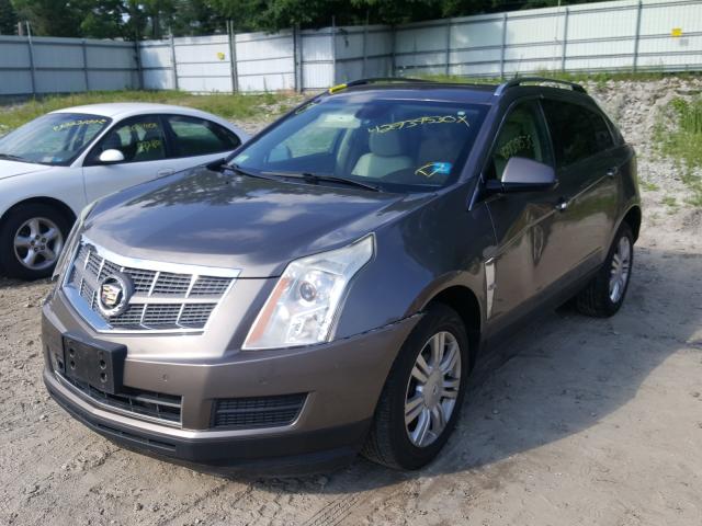 Photo 1 VIN: 3GYFNDEY3BS523021 - CADILLAC SRX LUXURY 