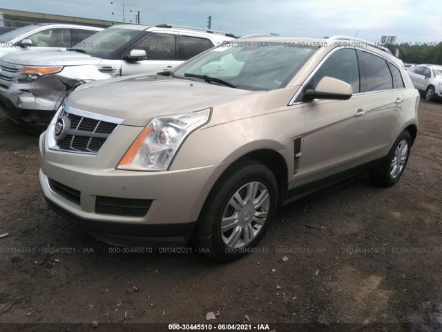 Photo 1 VIN: 3GYFNDEY3BS537727 - CADILLAC SRX 