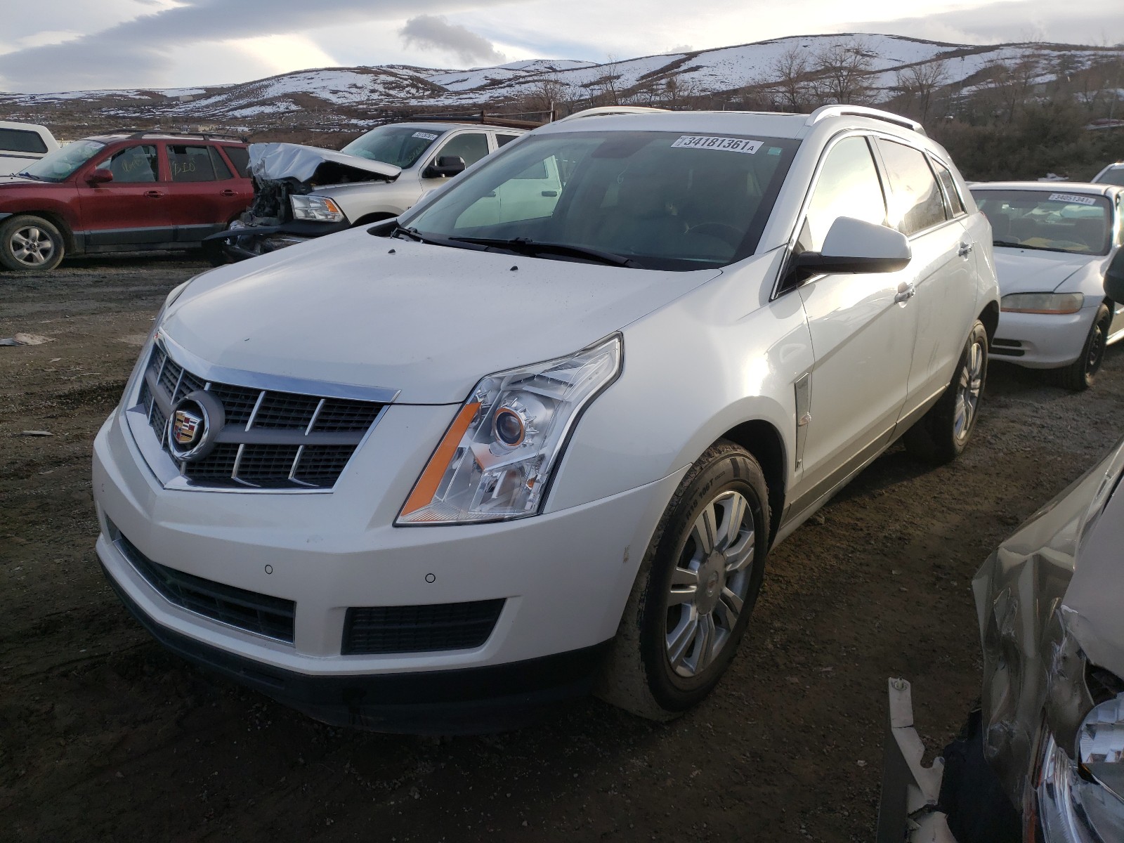 Photo 1 VIN: 3GYFNDEY3BS554821 - CADILLAC SRX LUXURY 