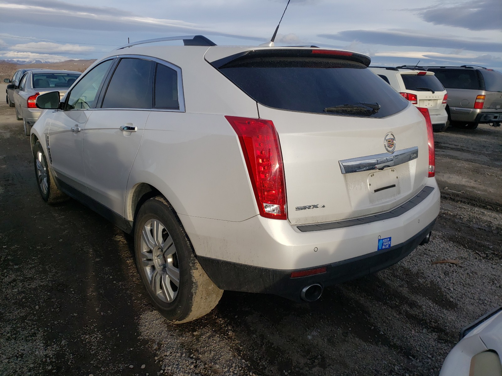 Photo 2 VIN: 3GYFNDEY3BS554821 - CADILLAC SRX LUXURY 