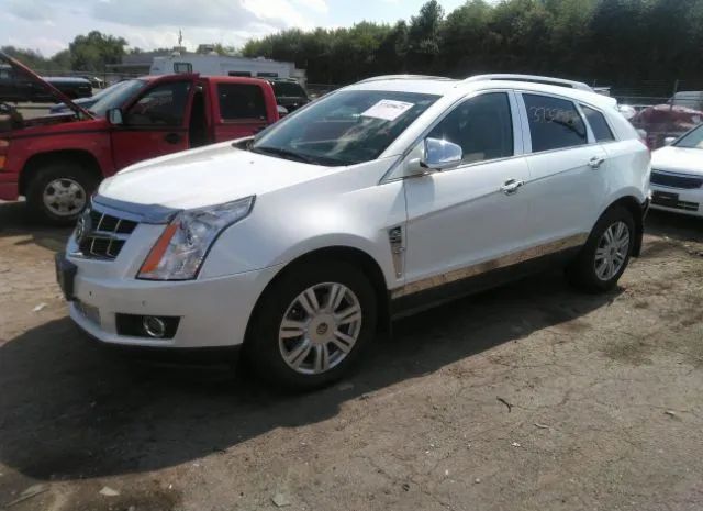 Photo 1 VIN: 3GYFNDEY3BS673646 - CADILLAC SRX 