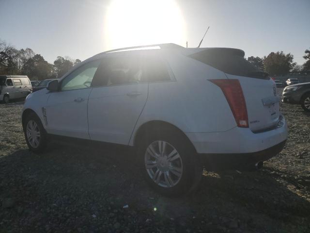 Photo 1 VIN: 3GYFNDEY4AS643585 - CADILLAC SRX LUXURY 