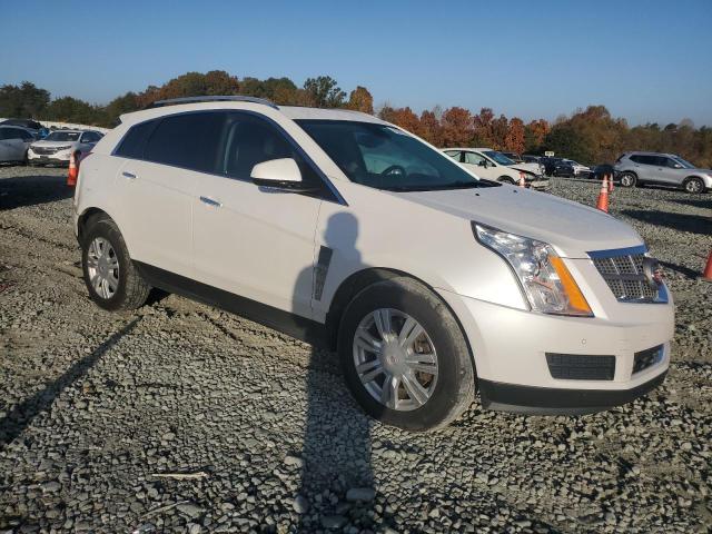 Photo 3 VIN: 3GYFNDEY4AS643585 - CADILLAC SRX LUXURY 