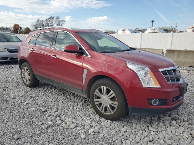 Photo 3 VIN: 3GYFNDEY4BS545688 - CADILLAC SRX LUXURY 