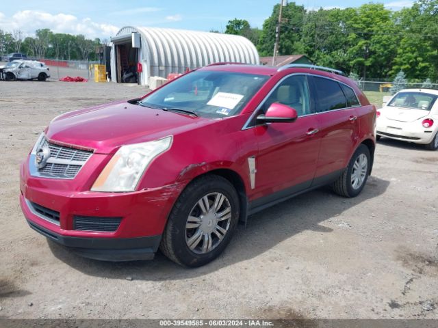 Photo 1 VIN: 3GYFNDEY4BS557310 - CADILLAC SRX 