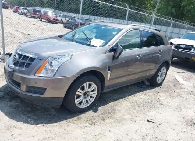 Photo 1 VIN: 3GYFNDEY4BS618221 - CADILLAC SRX 