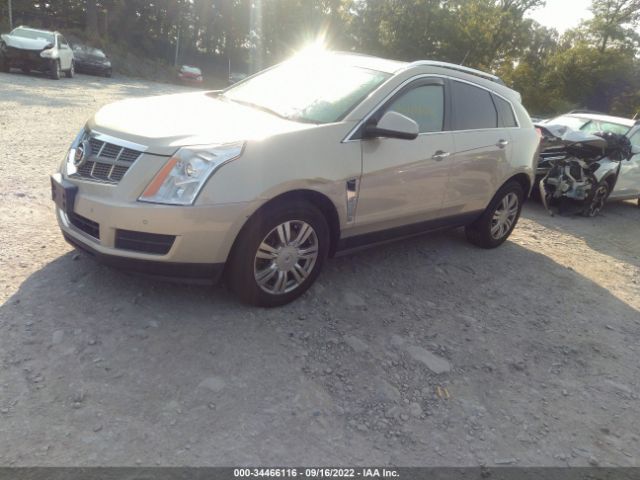 Photo 1 VIN: 3GYFNDEY4BS643782 - CADILLAC SRX 