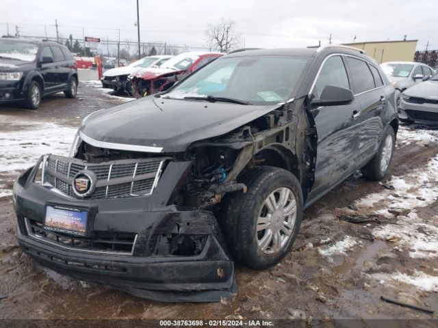 Photo 1 VIN: 3GYFNDEY4BS668617 - CADILLAC SRX 