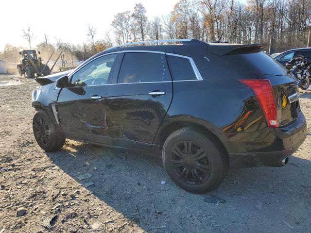 Photo 1 VIN: 3GYFNDEY5AS507062 - CADILLAC SRX LUXURY 