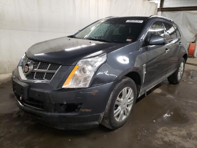 Photo 1 VIN: 3GYFNDEY5AS533029 - CADILLAC SRX LUXURY 