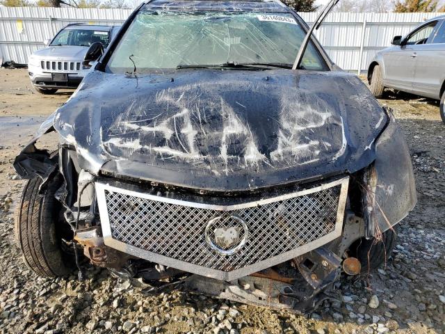 Photo 11 VIN: 3GYFNDEY5AS610045 - CADILLAC SRX LUXURY 