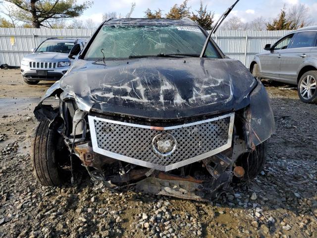 Photo 4 VIN: 3GYFNDEY5AS610045 - CADILLAC SRX LUXURY 