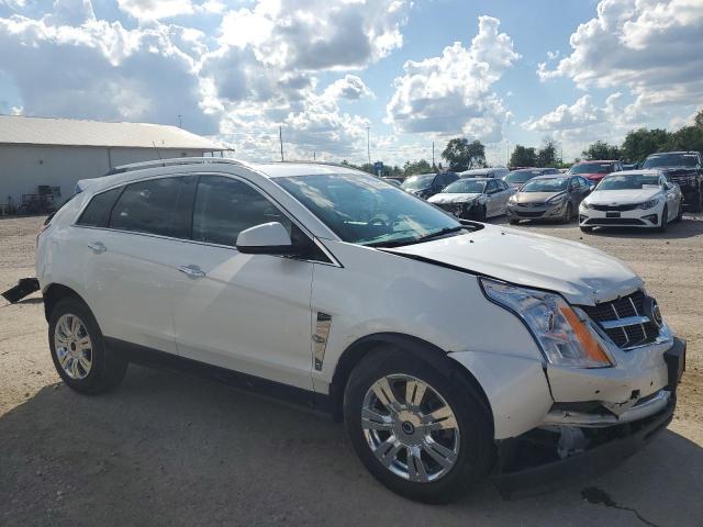 Photo 3 VIN: 3GYFNDEY5AS613267 - CADILLAC SRX LUXURY 