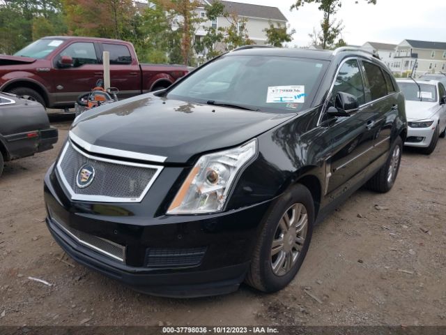 Photo 1 VIN: 3GYFNDEY5BS514479 - CADILLAC SRX 